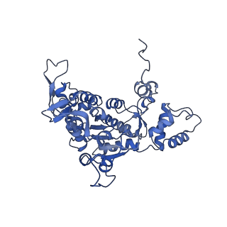 16967_8om3_W_v1-2
Small subunit of yeast mitochondrial ribosome in complex with IF3/Aim23.