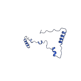 16967_8om3_X_v1-2
Small subunit of yeast mitochondrial ribosome in complex with IF3/Aim23.