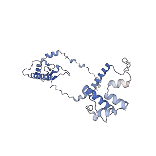 16967_8om3_Y_v1-2
Small subunit of yeast mitochondrial ribosome in complex with IF3/Aim23.