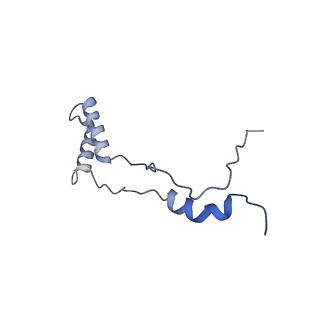 16967_8om3_Z_v1-2
Small subunit of yeast mitochondrial ribosome in complex with IF3/Aim23.