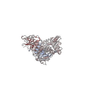 16972_8oma_A_v1-0
MutSbeta bound to 61bp homoduplex DNA