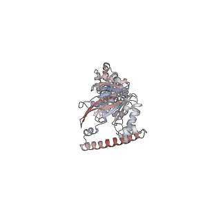 16972_8oma_B_v1-0
MutSbeta bound to 61bp homoduplex DNA