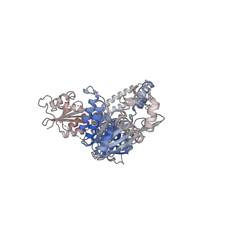 16973_8omo_A_v1-0
DNA-unbound MutSbeta-ATP complex (bent clamp form)