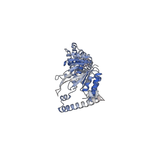 16973_8omo_B_v1-0
DNA-unbound MutSbeta-ATP complex (bent clamp form)
