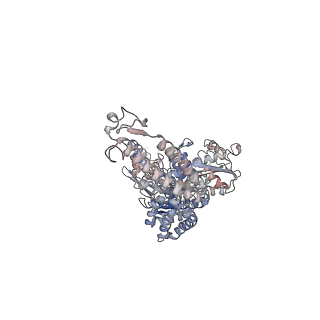 16974_8omq_A_v1-0
DNA-unbound MutSbeta-ATP complex (straight clamp form)