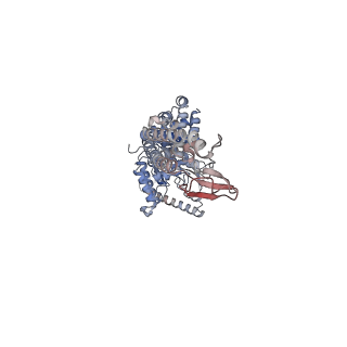 16974_8omq_B_v1-0
DNA-unbound MutSbeta-ATP complex (straight clamp form)