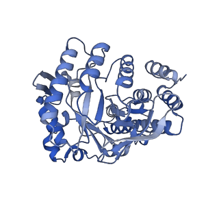 16976_8omr_A_v1-1
Human tRNA guanine transglycosylase (TGT) bound to tRNAAsp