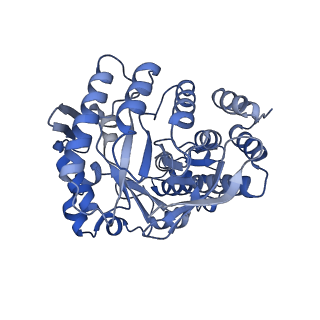 16976_8omr_A_v1-2
Human tRNA guanine transglycosylase (TGT) bound to tRNAAsp