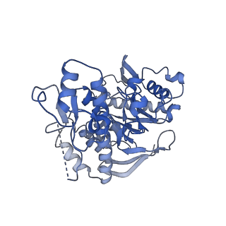 16976_8omr_B_v1-1
Human tRNA guanine transglycosylase (TGT) bound to tRNAAsp
