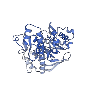 16976_8omr_B_v1-2
Human tRNA guanine transglycosylase (TGT) bound to tRNAAsp