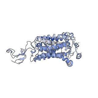 16977_8omu_A_v1-2
Cryo-EM structure of rat SLC22A6 bound to alpha-ketoglutaric acid in a low occupancy state