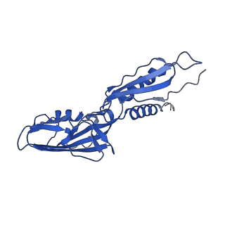 20090_6omf_A_v1-3
CryoEM structure of SigmaS-transcription initiation complex with activator Crl