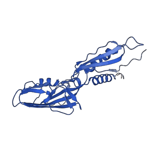 20090_6omf_A_v1-4
CryoEM structure of SigmaS-transcription initiation complex with activator Crl