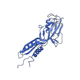 20090_6omf_B_v1-3
CryoEM structure of SigmaS-transcription initiation complex with activator Crl