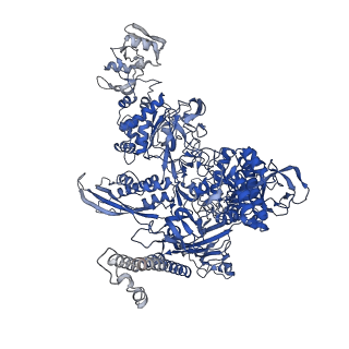 20090_6omf_C_v1-3
CryoEM structure of SigmaS-transcription initiation complex with activator Crl