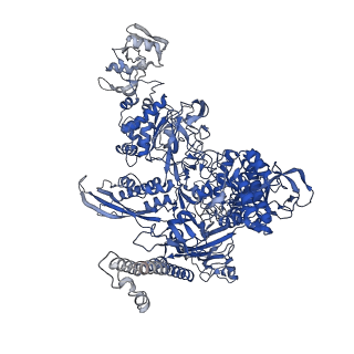 20090_6omf_C_v1-4
CryoEM structure of SigmaS-transcription initiation complex with activator Crl