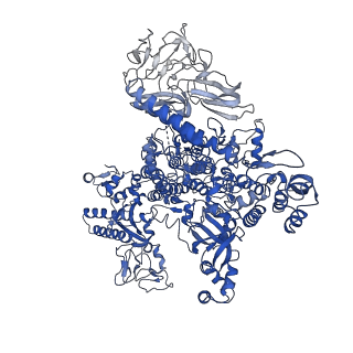 20090_6omf_D_v1-3
CryoEM structure of SigmaS-transcription initiation complex with activator Crl