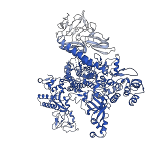 20090_6omf_D_v1-4
CryoEM structure of SigmaS-transcription initiation complex with activator Crl