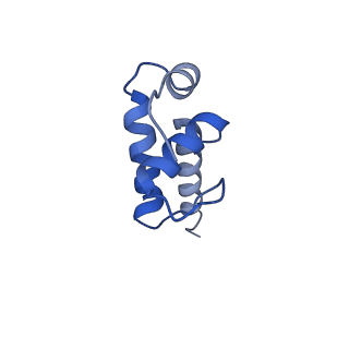 20090_6omf_E_v1-4
CryoEM structure of SigmaS-transcription initiation complex with activator Crl