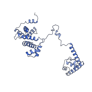 20090_6omf_F_v1-4
CryoEM structure of SigmaS-transcription initiation complex with activator Crl