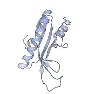 20090_6omf_J_v1-3
CryoEM structure of SigmaS-transcription initiation complex with activator Crl