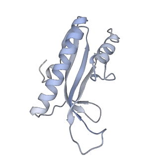 20090_6omf_J_v1-4
CryoEM structure of SigmaS-transcription initiation complex with activator Crl