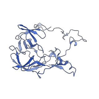 20121_6om6_B_v1-1
Structure of trans-translation inhibitor bound to E. coli 70S ribosome with P site tRNA