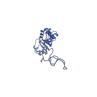 20121_6om6_D_v1-1
Structure of trans-translation inhibitor bound to E. coli 70S ribosome with P site tRNA