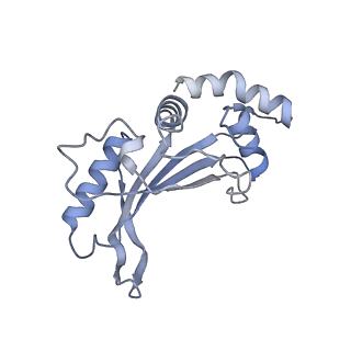 20121_6om6_E_v1-1
Structure of trans-translation inhibitor bound to E. coli 70S ribosome with P site tRNA