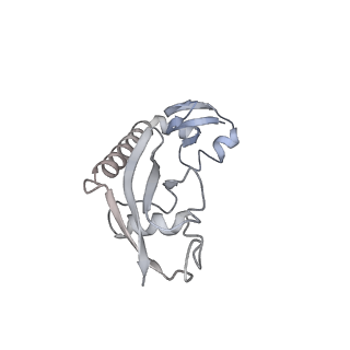 20121_6om6_G_v1-1
Structure of trans-translation inhibitor bound to E. coli 70S ribosome with P site tRNA