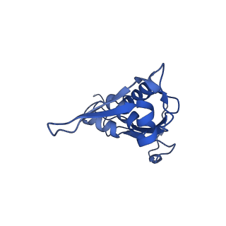 20121_6om6_J_v1-1
Structure of trans-translation inhibitor bound to E. coli 70S ribosome with P site tRNA