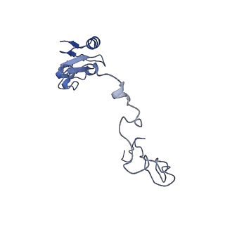 20121_6om6_L_v1-1
Structure of trans-translation inhibitor bound to E. coli 70S ribosome with P site tRNA
