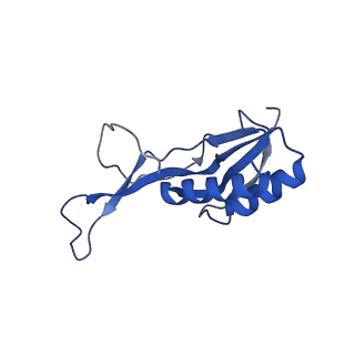 20121_6om6_M_v1-1
Structure of trans-translation inhibitor bound to E. coli 70S ribosome with P site tRNA