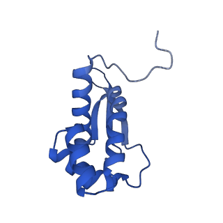 20121_6om6_N_v1-1
Structure of trans-translation inhibitor bound to E. coli 70S ribosome with P site tRNA