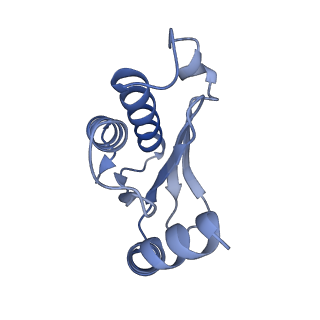 20121_6om6_O_v1-1
Structure of trans-translation inhibitor bound to E. coli 70S ribosome with P site tRNA