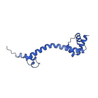 20121_6om6_Q_v1-1
Structure of trans-translation inhibitor bound to E. coli 70S ribosome with P site tRNA