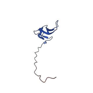 20121_6om6_W_v1-1
Structure of trans-translation inhibitor bound to E. coli 70S ribosome with P site tRNA