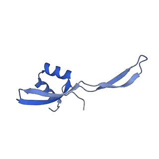 20121_6om6_X_v1-1
Structure of trans-translation inhibitor bound to E. coli 70S ribosome with P site tRNA