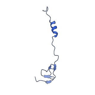 20121_6om6_b_v1-1
Structure of trans-translation inhibitor bound to E. coli 70S ribosome with P site tRNA