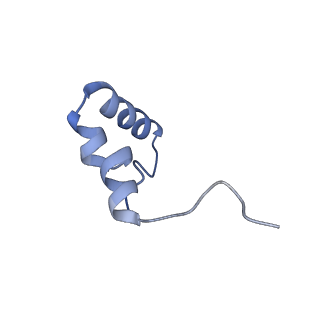 20121_6om6_d_v1-1
Structure of trans-translation inhibitor bound to E. coli 70S ribosome with P site tRNA