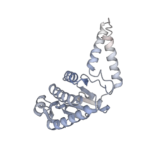 20121_6om6_g_v1-1
Structure of trans-translation inhibitor bound to E. coli 70S ribosome with P site tRNA