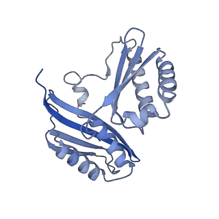 20121_6om6_h_v1-1
Structure of trans-translation inhibitor bound to E. coli 70S ribosome with P site tRNA