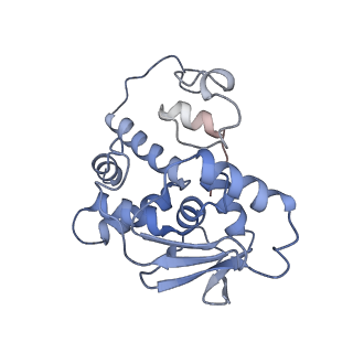 20121_6om6_i_v1-1
Structure of trans-translation inhibitor bound to E. coli 70S ribosome with P site tRNA
