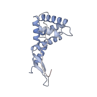 20121_6om6_l_v1-1
Structure of trans-translation inhibitor bound to E. coli 70S ribosome with P site tRNA