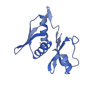 20121_6om6_m_v1-1
Structure of trans-translation inhibitor bound to E. coli 70S ribosome with P site tRNA