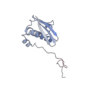 20121_6om6_n_v1-1
Structure of trans-translation inhibitor bound to E. coli 70S ribosome with P site tRNA
