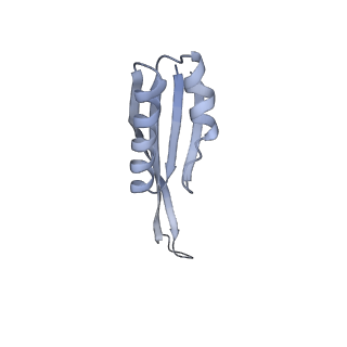 20121_6om6_o_v1-1
Structure of trans-translation inhibitor bound to E. coli 70S ribosome with P site tRNA