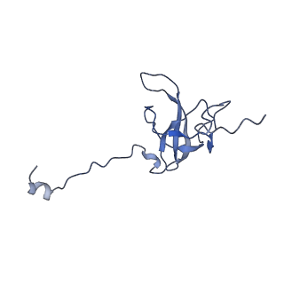20121_6om6_q_v1-1
Structure of trans-translation inhibitor bound to E. coli 70S ribosome with P site tRNA