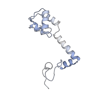 20121_6om6_r_v1-1
Structure of trans-translation inhibitor bound to E. coli 70S ribosome with P site tRNA