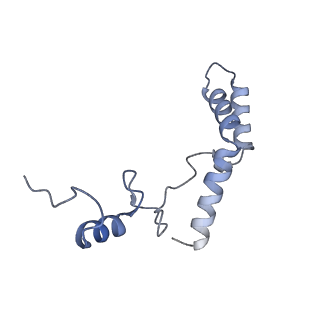 20121_6om6_s_v1-1
Structure of trans-translation inhibitor bound to E. coli 70S ribosome with P site tRNA